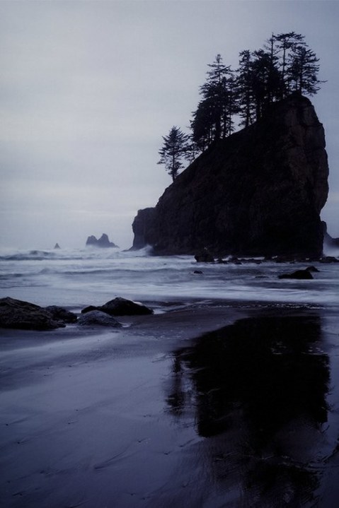 QC In Memoriam: August