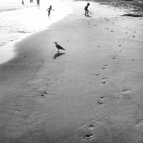 QC In Memoriam: August