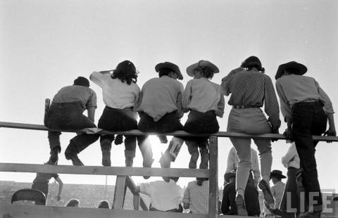 QC: Univ. of Arizona Rodeo