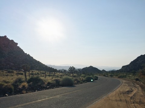 Quite Continental: Joshua Tree