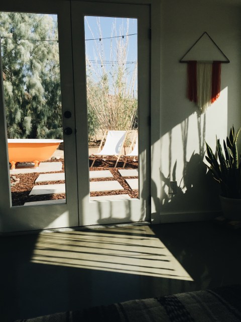 Quite Continental: Joshua Tree