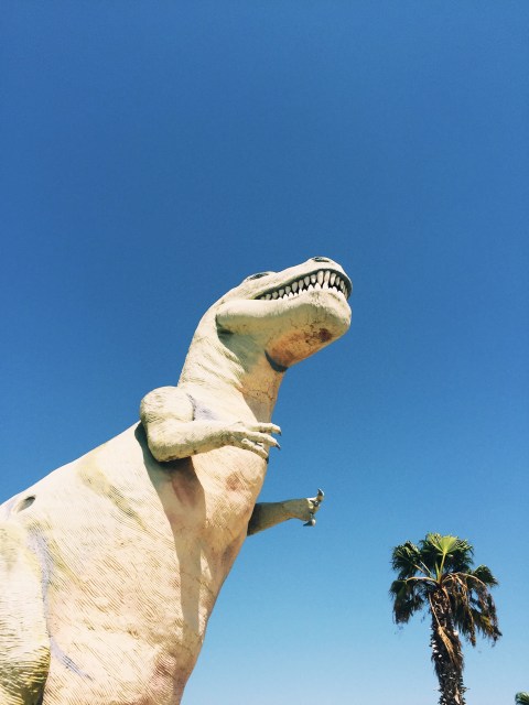 Quite Continental: Joshua Tree