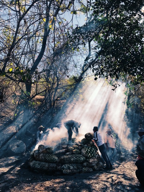 Processed with VSCO with al2 preset